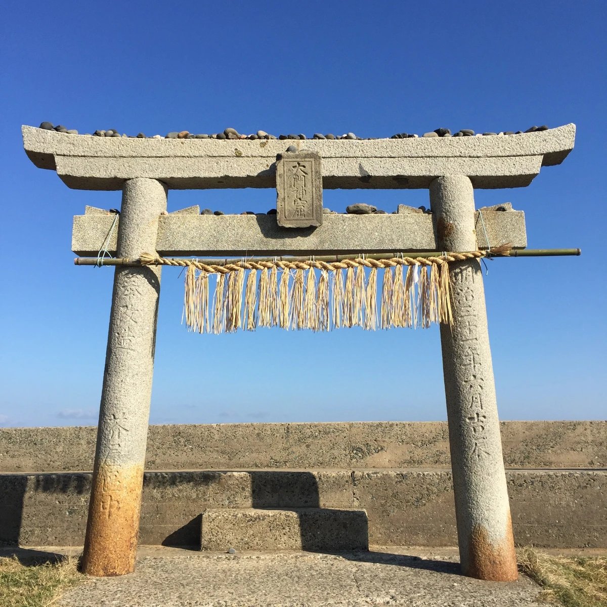 🌳 이토시마 토토로의 숲(이토시마노토토로노모리) 이미지 7